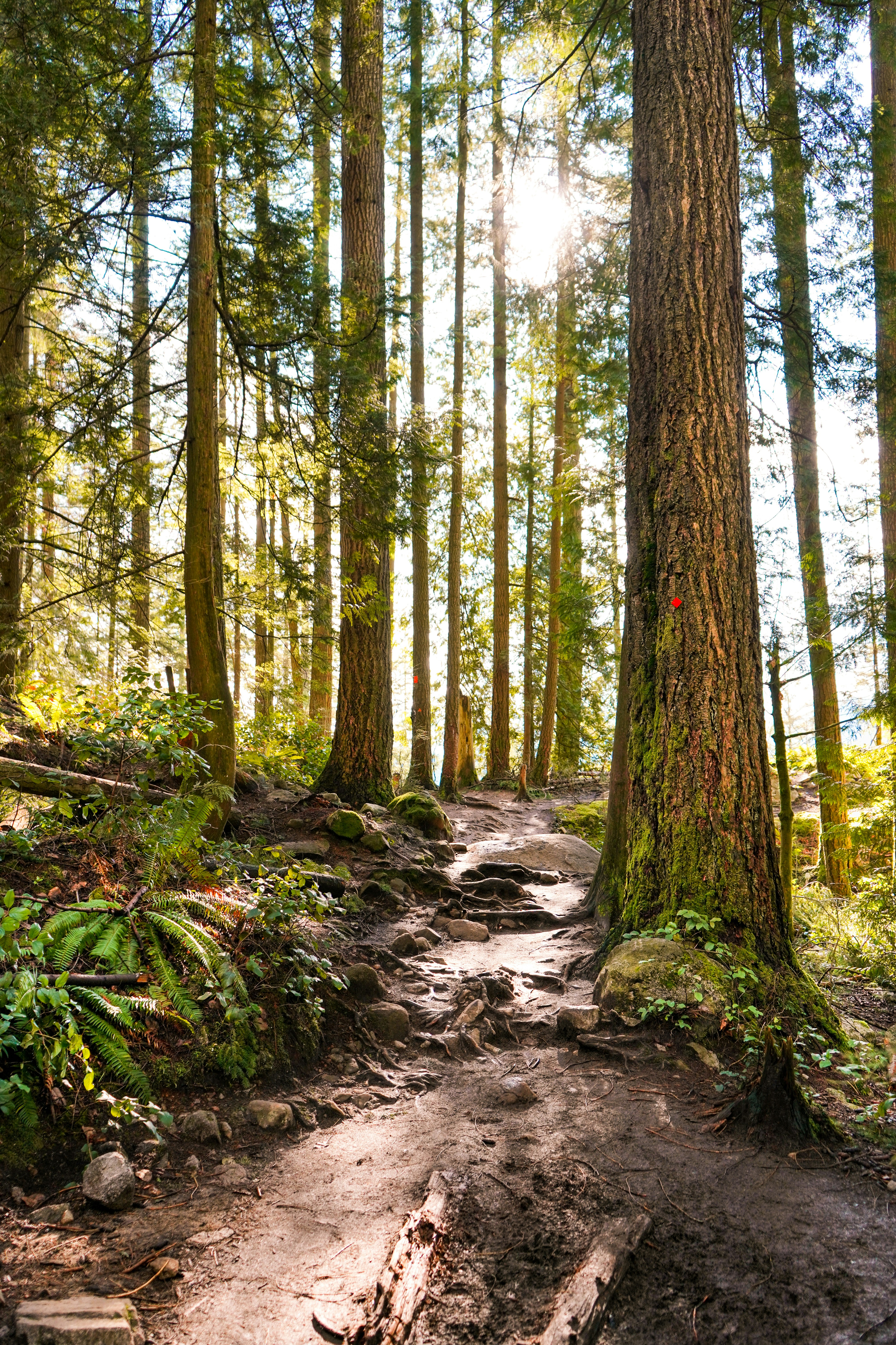 Coquitlam